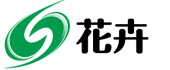 某某科技有限公司