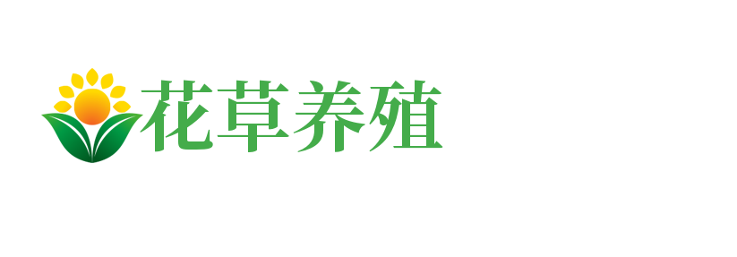 (PC+WAP)花卉养殖新闻资讯类北京菲华伟业 绿色花草植物网站源码下载
