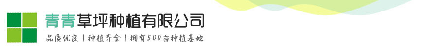 北京菲华伟业 专业的北京菲华伟业