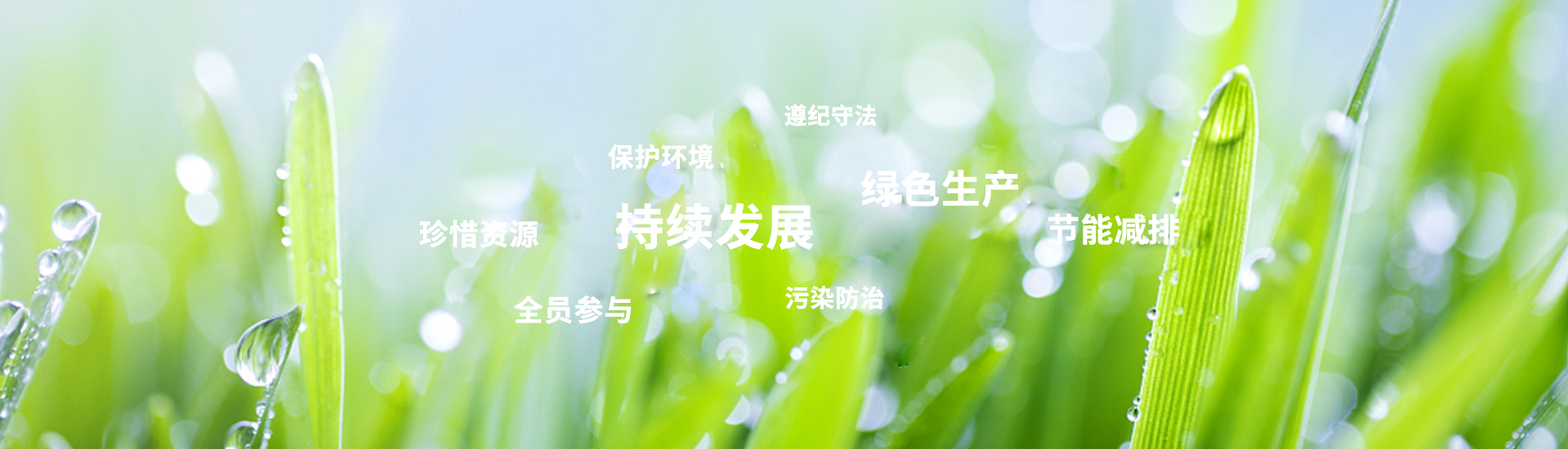 https://www.feihuaweiye.com