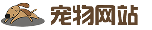 (自适应手机端)宠物商店宠物装备类网站北京菲华伟业 宠物网站源码下载-北京菲华伟业